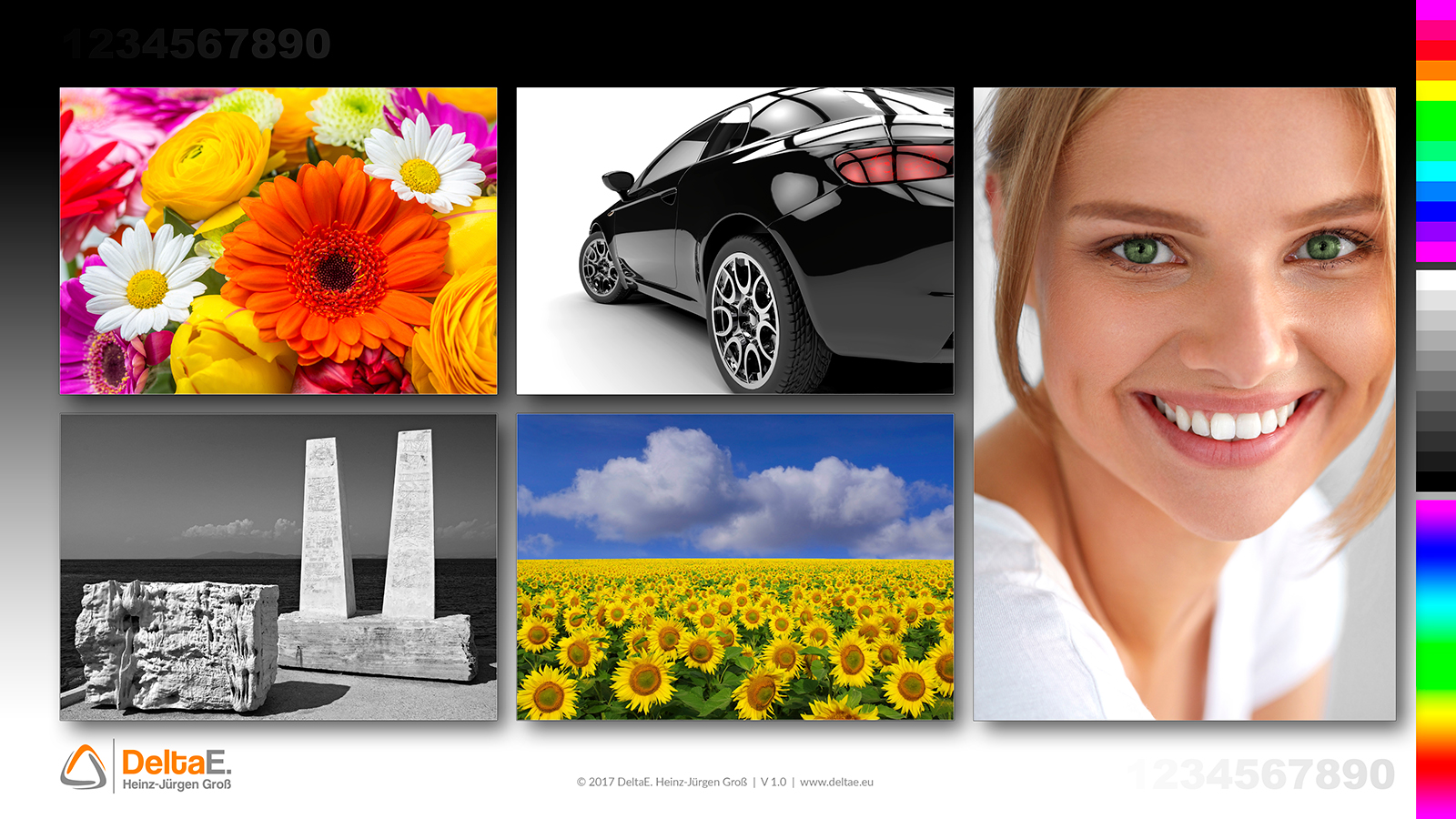 DeltaE Referenz-Testbild mit Hauttönen, gesättigten Farben, neutralen Grauflächen sowie Bereichen für Lichter- und Schattendifferenzierung zur Beurteilung von Monitoranzeige und Druckausgabe.